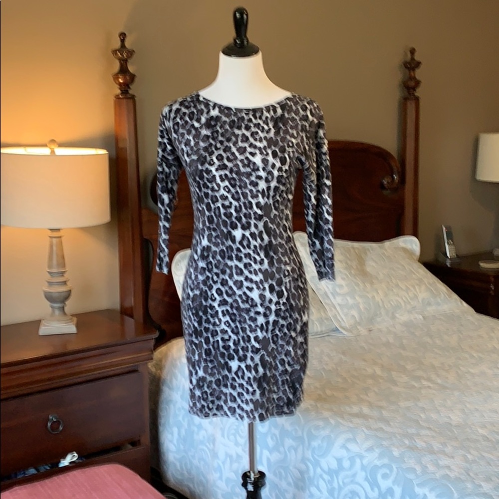 Black leopard print dress XS EUC Express dress